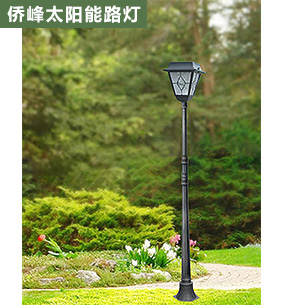 太阳能景观灯6
