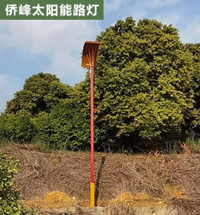 重庆农家乐路灯杆工程案列