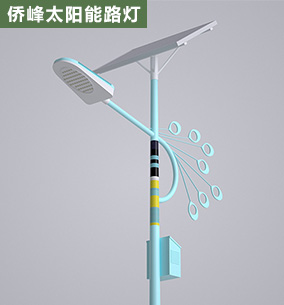 道路太阳能路灯案列